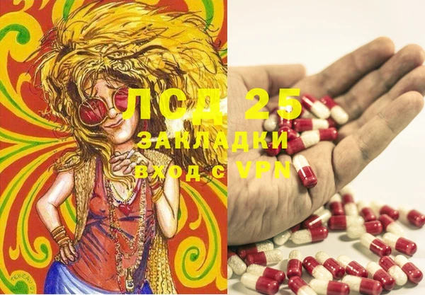 круглые Аркадак
