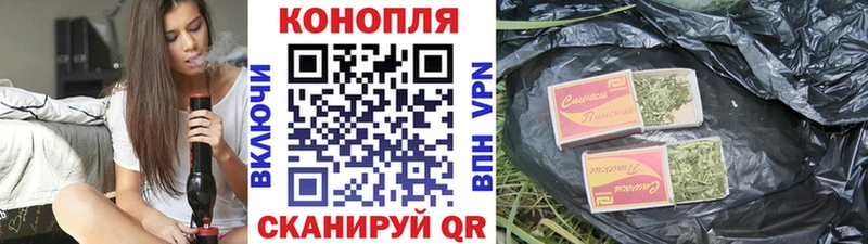 Бошки Шишки ГИДРОПОН Сураж